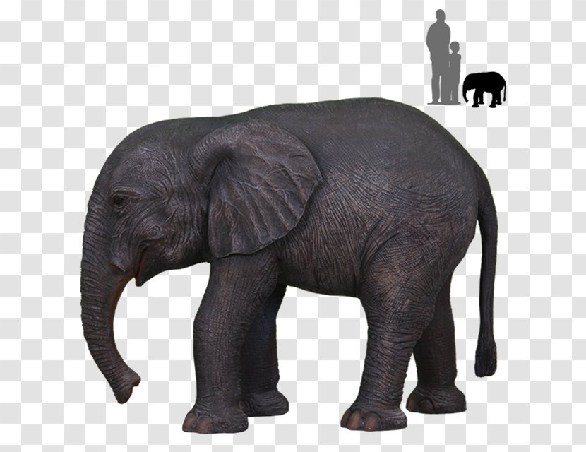 Indian Elephant African Wildlife Terrestrial Animal - Snout - Motif Transparent PNG
