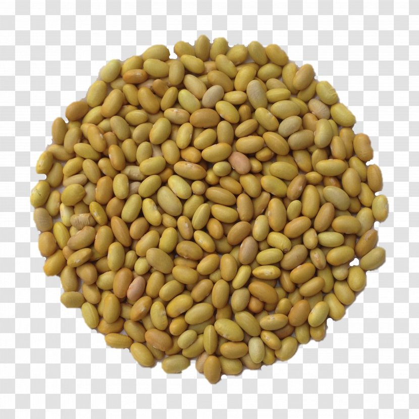 Common Bean Cocido Runner Vegetarian Cuisine Seed - Frijoles Transparent PNG