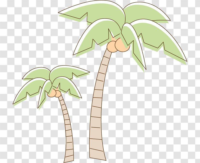 Coconut Tree Drawing Transparent PNG