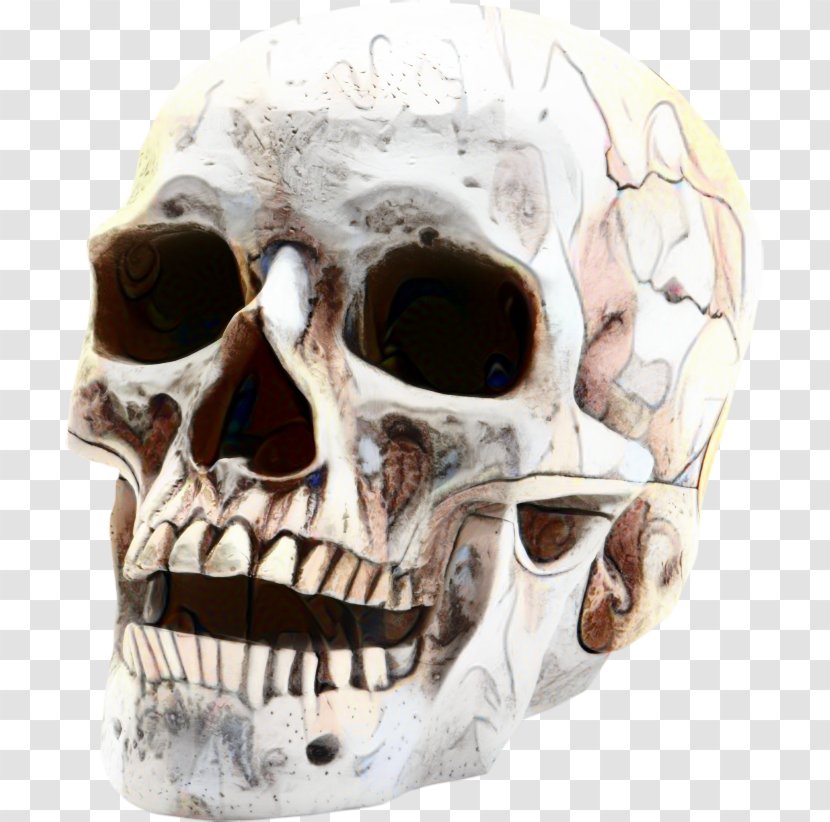 Day Of The Dead Skull - Jaw - Skeleton Mouth Transparent PNG