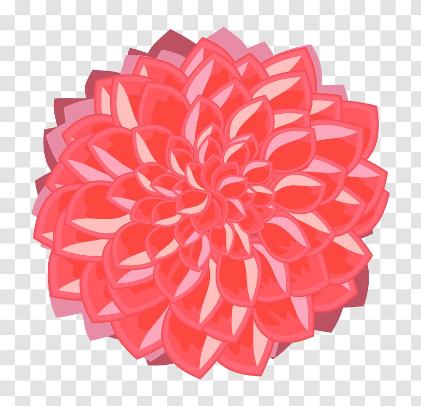 Dahlia Drawing Clip Art - Petal Transparent PNG