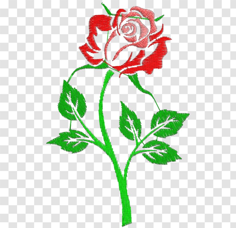 Rose Drawing Clip Art - Rosa Centifolia Transparent PNG