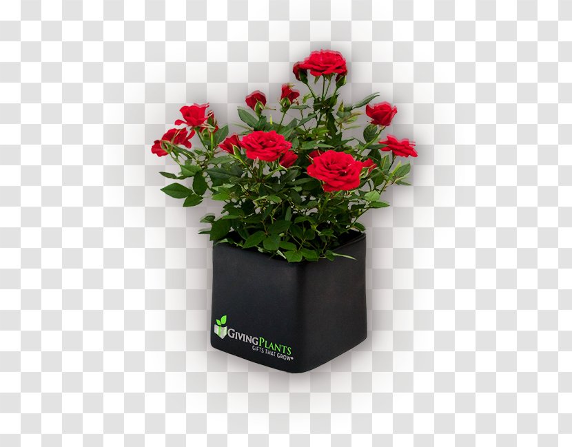Houseplant Flowerpot Gift - Pink Family - Pot Plant Transparent PNG