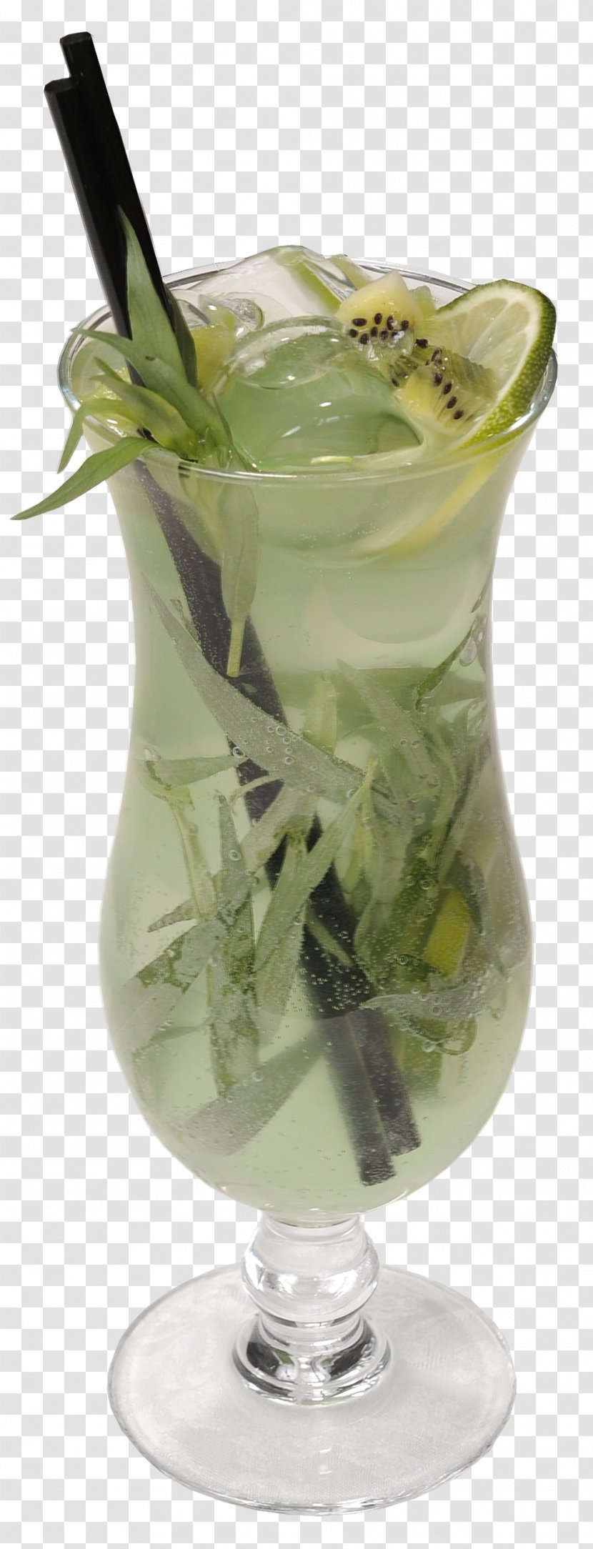 Juice Tarhun Lemonade Mint Julep Mojito - Carrot Transparent PNG
