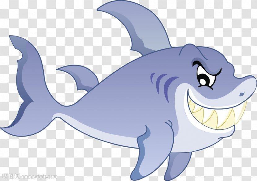 Shark - Mammal - Cartoon Transparent PNG