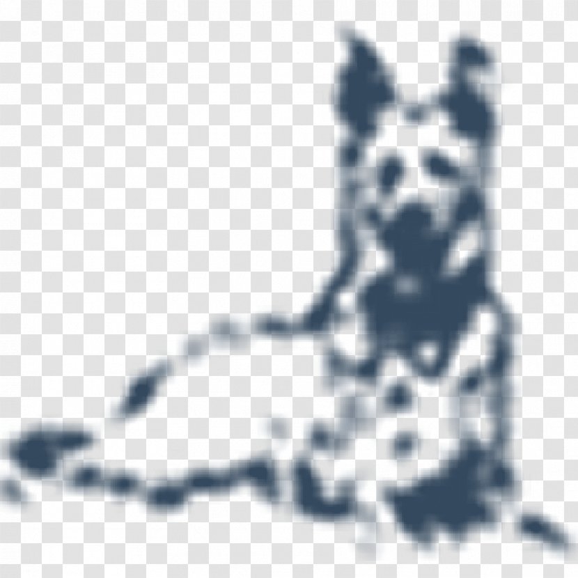 Dalmatian Dog Breed Whiskers Cat Non-sporting Group - Assistance - Norwich Terrier Transparent PNG