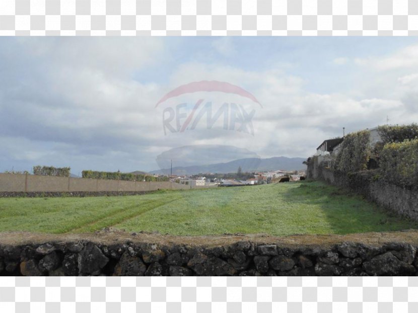 Real Property Land Lot Pasture Estate - Plain - Rabo De Peixe Transparent PNG