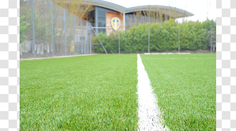 Thorp Arch Leeds United F.C. Reserves And Youth Team Artificial Turf Football - Fc - Fiveaside Transparent PNG