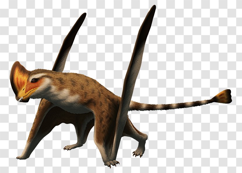 Caviramus Red Fox Rhamphorhynchoidea Dinosaur Triassic - Animal Transparent PNG