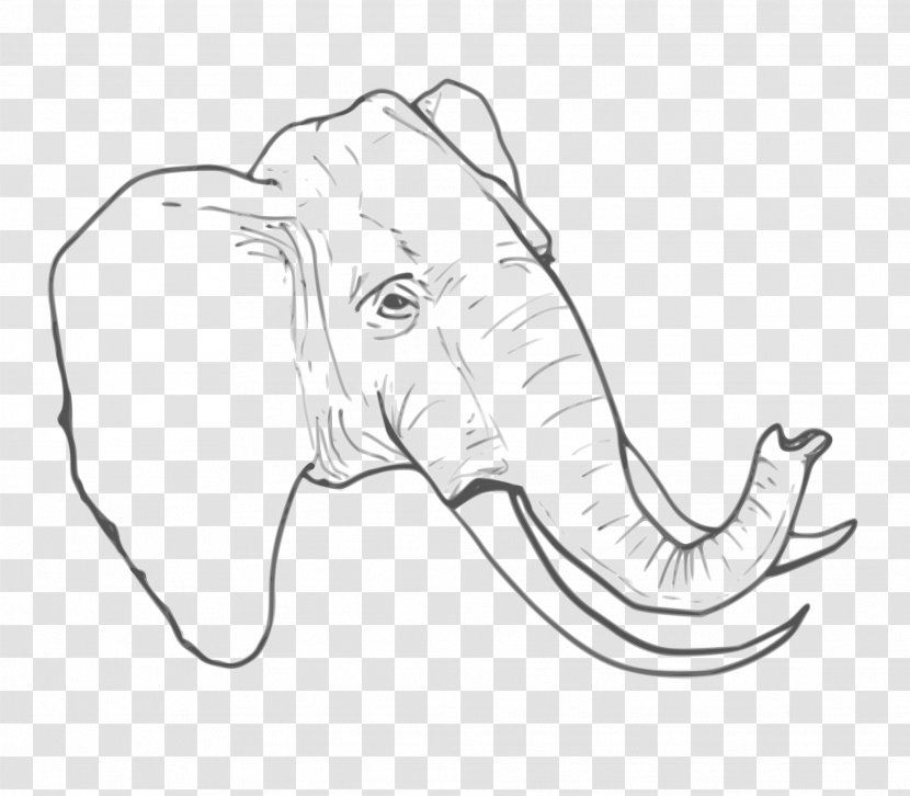 Elephant Clip Art - Line - Drawing Transparent PNG