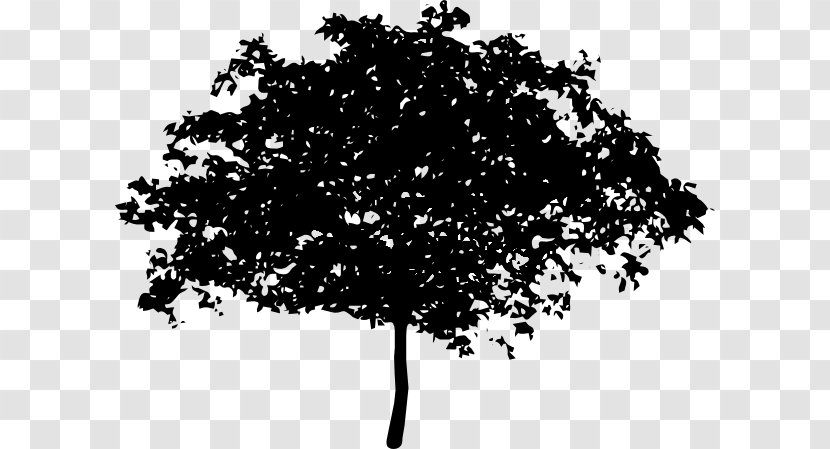 Tree Oak Branch Clip Art - Monochrome Photography - Leaf Green Electric Arches Wallpaper Transparent PNG