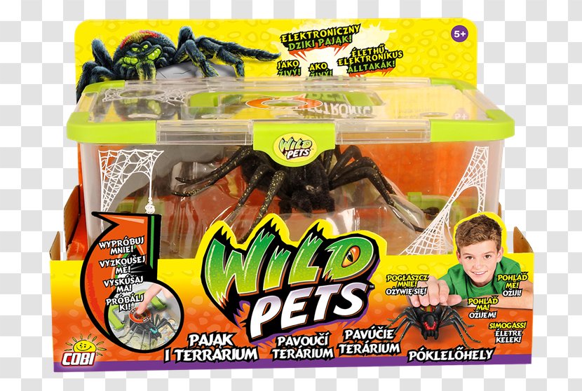 Spider Little Live Pets Toy Cobi Terrarium - Online Shopping Transparent PNG