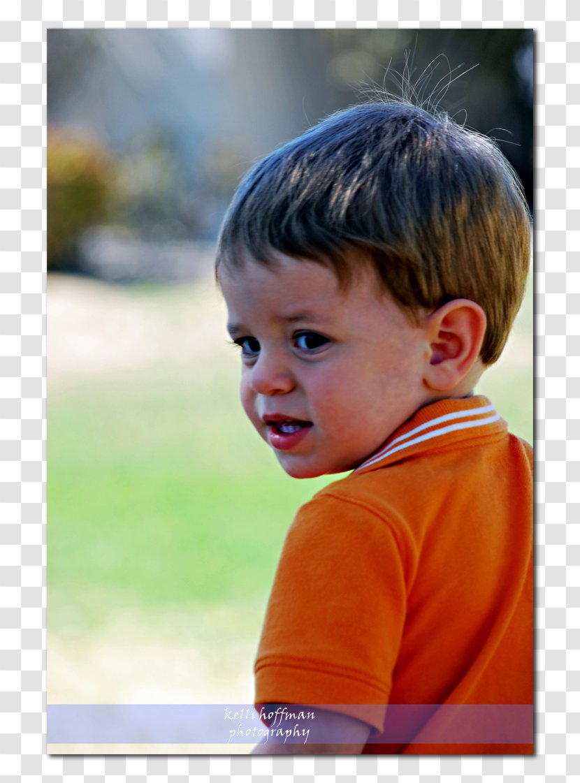 Infant Portrait Photography Homo Sapiens Yellow - Frame - Turn Around Transparent PNG