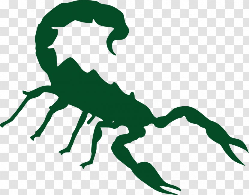 Scorpion Clip Art Vector Graphics Logo - Green Transparent PNG