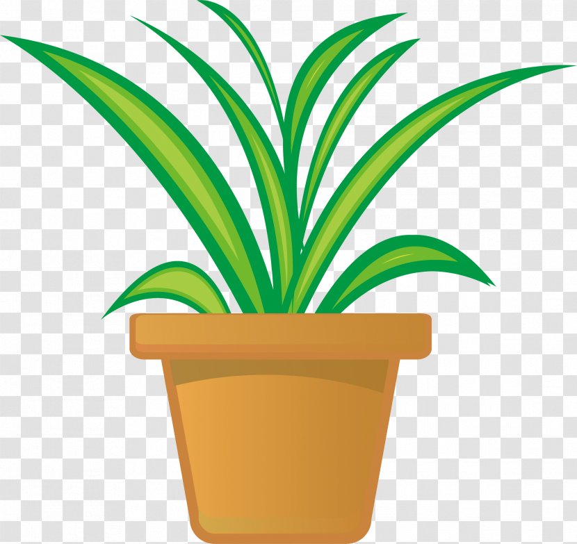 Clip Art Vector Graphics Illustration Houseplant Image - Bromeliaceae - Plants Cartoon Transparent PNG