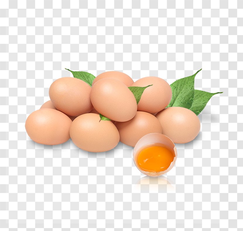 Chicken Egg Nutrition Transparent PNG