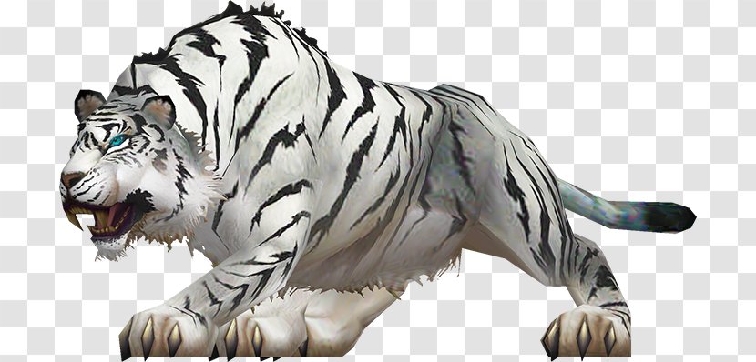 Siberian Tiger Wildlife Celebrity Transparent PNG