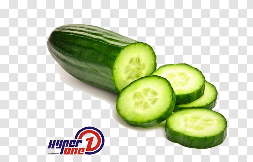 Pickled Cucumber Australian Cuisine Middle Eastern Organic Food - Summer Squash Transparent PNG