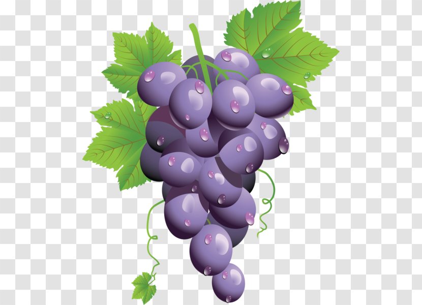 Common Grape Vine Wine Clip Art - Food Transparent PNG