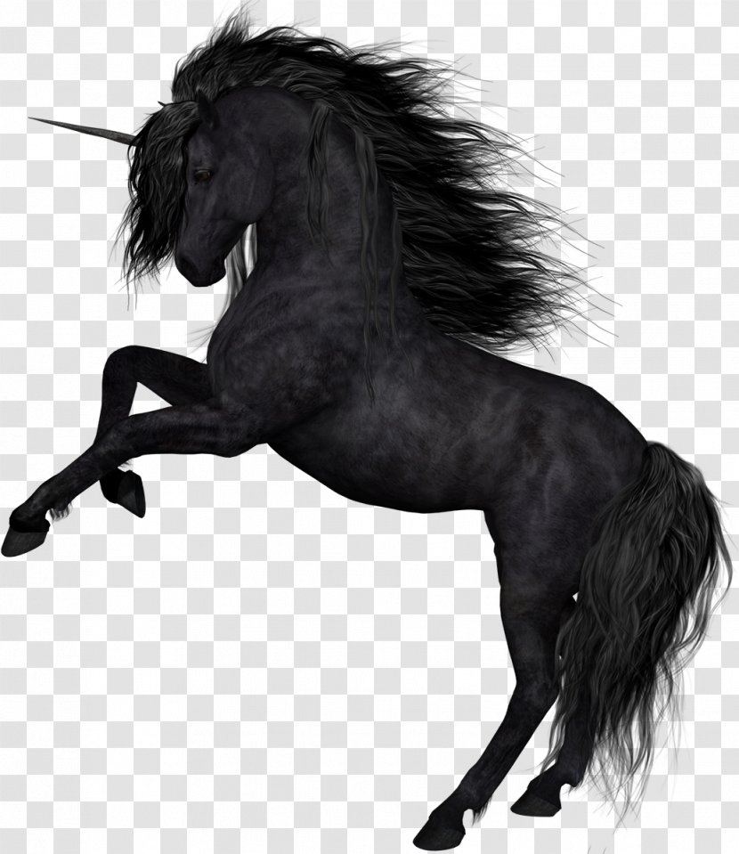 Horse Unicorn Collage Clip Art - Pegasus - Unicornio Transparent PNG