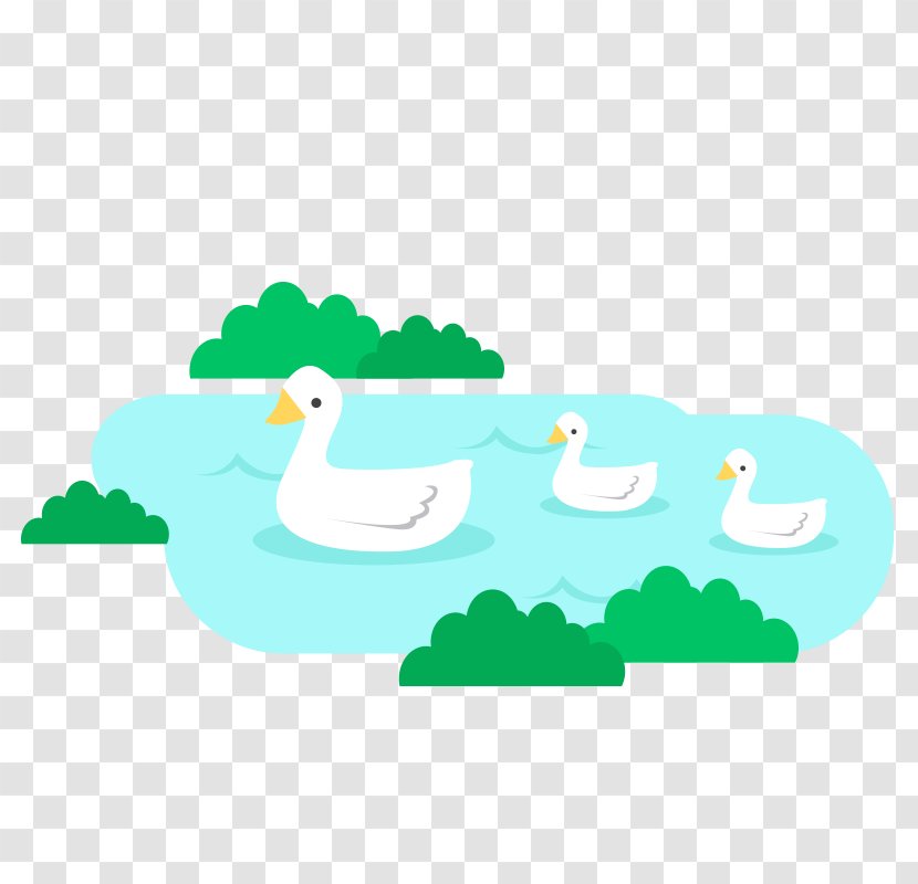 Duck Green Clip Art - Bird - Swan Lake Transparent PNG