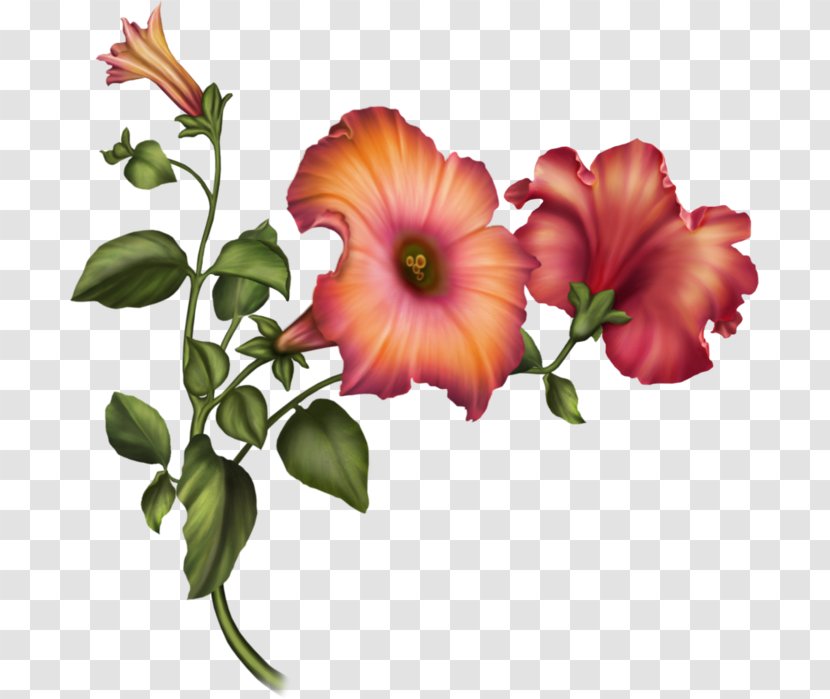 Cut Flowers Floral Design Hibiscus Flower Bouquet Transparent PNG