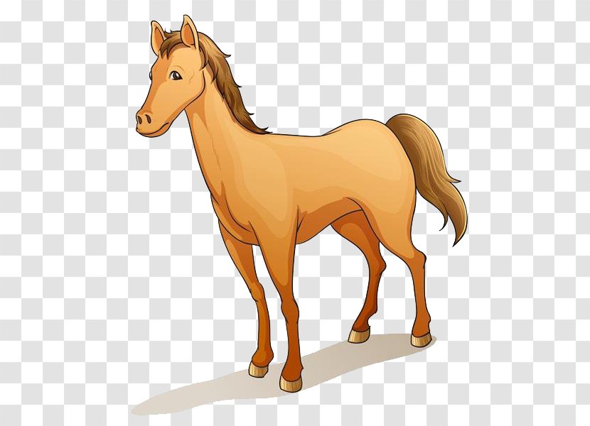 Barb Horse Pony Royalty-free Clip Art - Mane - Cartoon Material Transparent PNG