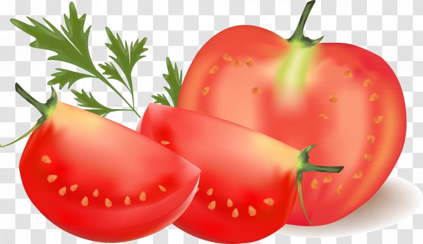 Cherry Tomato Vegetable Clip Art - Plum Transparent PNG