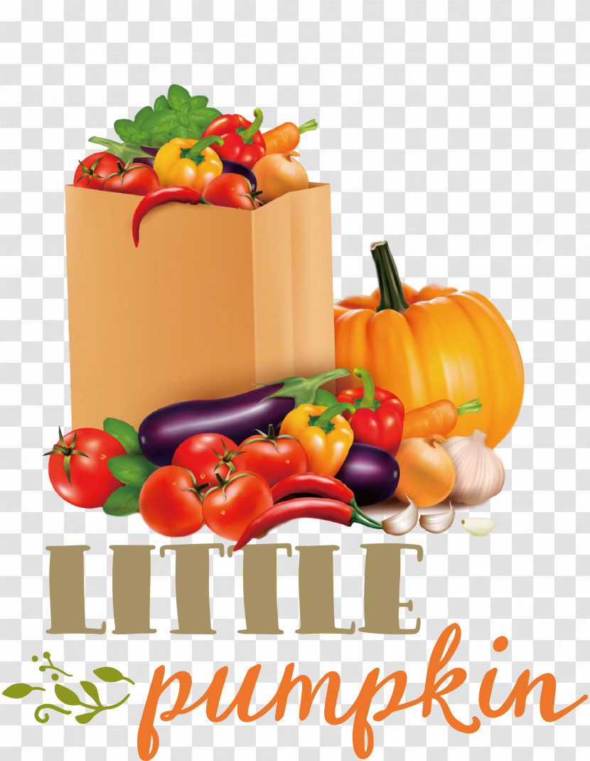 Little Pumpkin Thanksgiving Autumn Transparent PNG