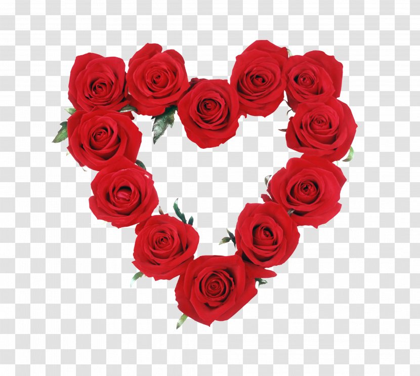 Garden Roses Valentine's Day Portable Network Graphics Clip Art - Floral Design - Rose Transparent PNG