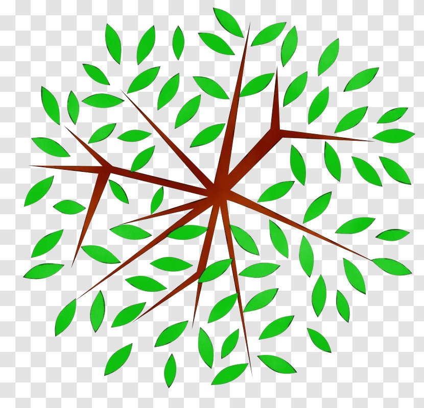 Branch Plant Stem Leaf Line Pattern - Paint - Vascular Transparent PNG