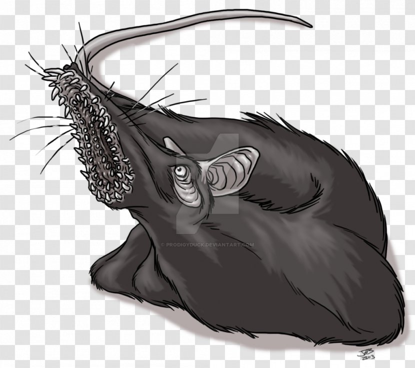 Dire Rat Animal Leech Drawing - & Mouse Transparent PNG