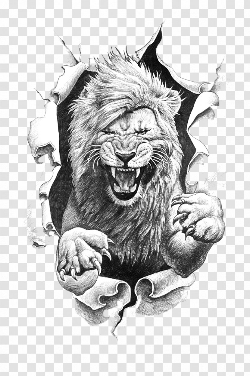 Lion Drawing - Cat Like Mammal - Roar Transparent PNG