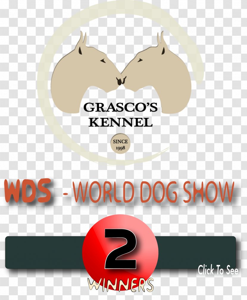 Miniature Bull Terrier World Dog Show Conformation European - Text - Norfolk Transparent PNG