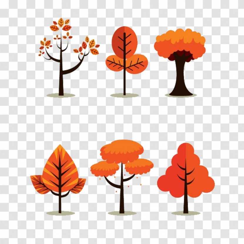 Tree Autumn - Forest - Trees Picture Material Transparent PNG