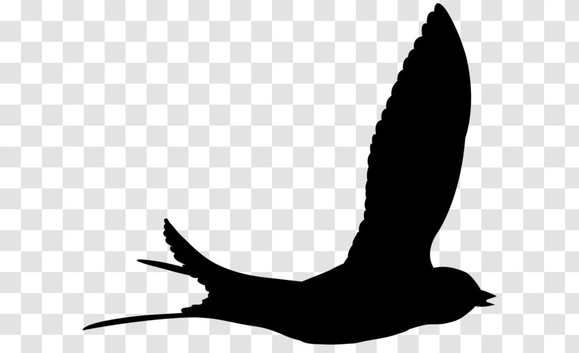 Beak Goose Swans Clip Art Duck - Wing Transparent PNG