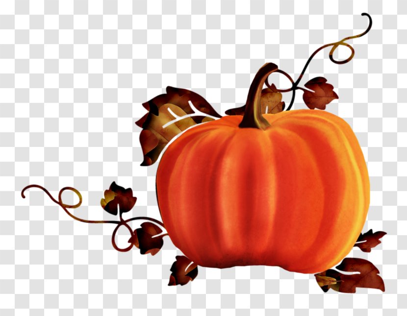 Jack-o'-lantern Halloween Silhouette Pumpkin - Winter Squash Transparent PNG