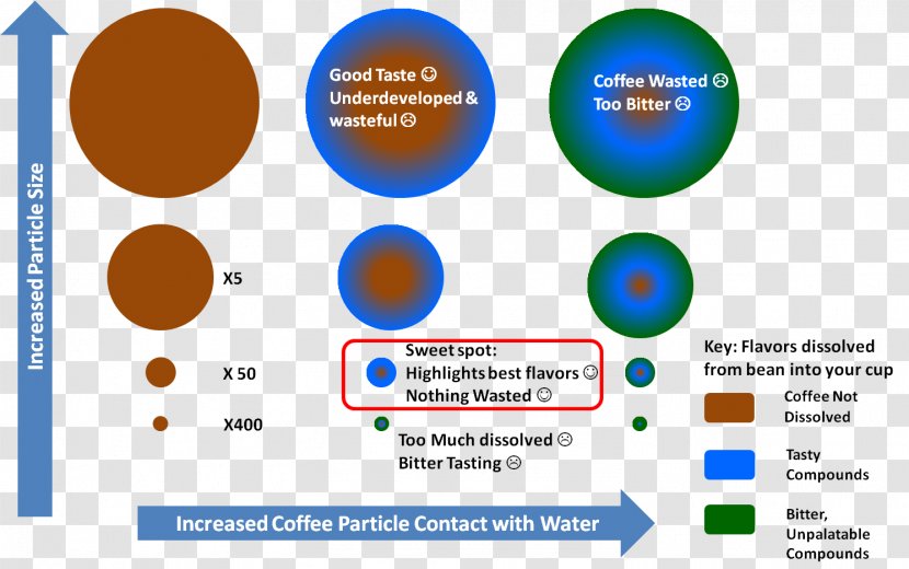 Coffee Bitter Nanotechnology Beer Brewing Grains & Malts - Advertising - Bean Transparent PNG