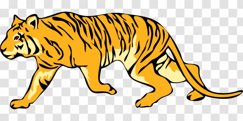 Felidae Bengal Tiger White Clip Art - Tail - Tigers Clipart Transparent PNG