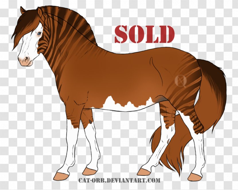Mane Foal Mare Stallion Colt - Saddle - Mustang Transparent PNG