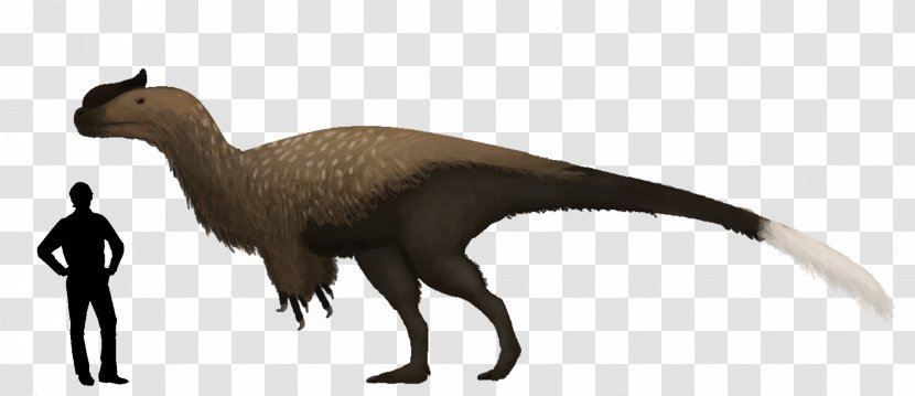 Sinotyrannus Dinosaur Tyrannosaurus Carnotaurus Animal Transparent PNG