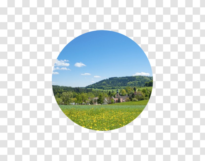 Württemberg Moosbronn Heimat Spa Meadow - Land Lot - Black Forest Germany Transparent PNG