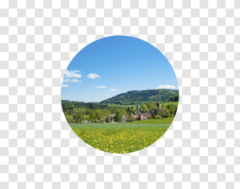 WÃ¼rttemberg Moosbronn Heimat Spa Meadow - Land Lot - Black Forest Germany Transparent PNG
