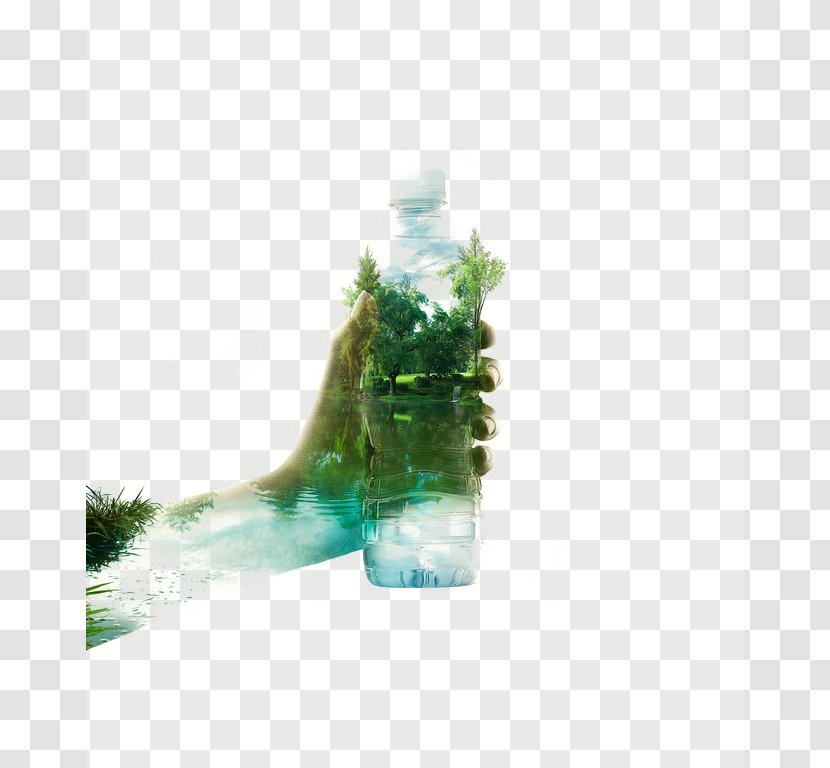 Graphic Design Photography - Exposure - Leaves Bottle Transparent PNG