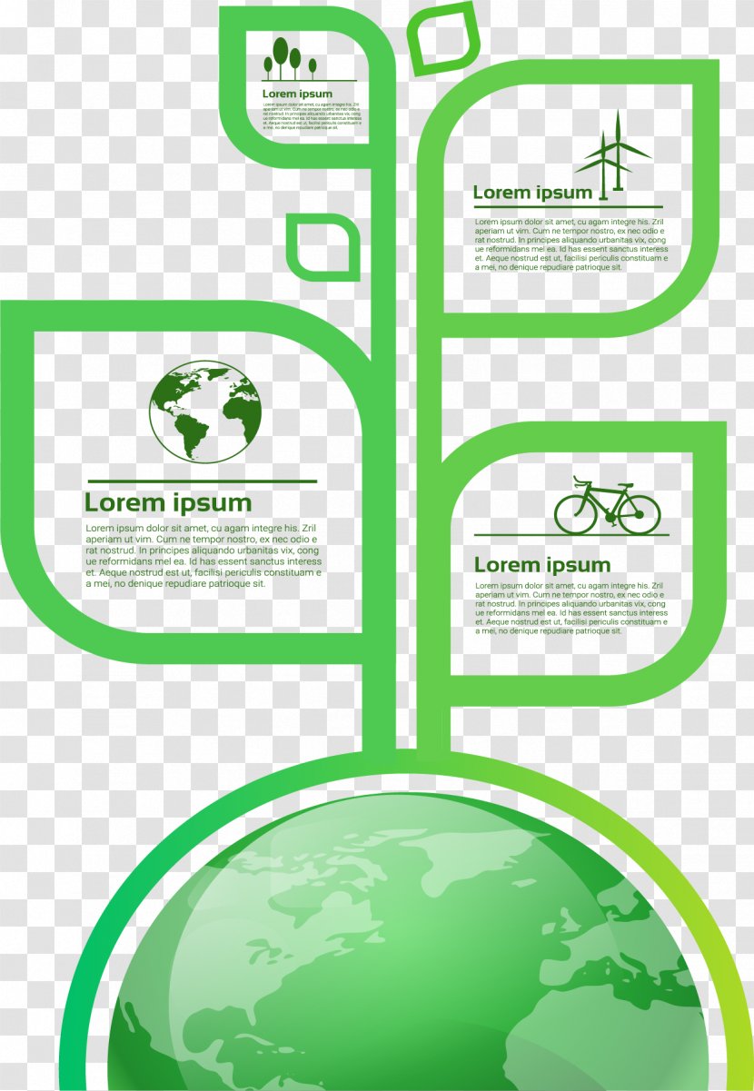 Infographic Euclidean Vector Illustration - Grass - Leaf Structure Information Chart Transparent PNG