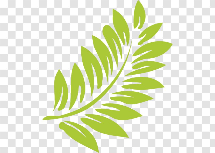 Hibiscus Schizopetalus Clip Art - Green - Tropical Leaf Transparent PNG