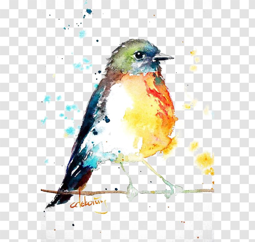 Bird European Robin Watercolor Painting Drawing - Beak - Birds Transparent PNG