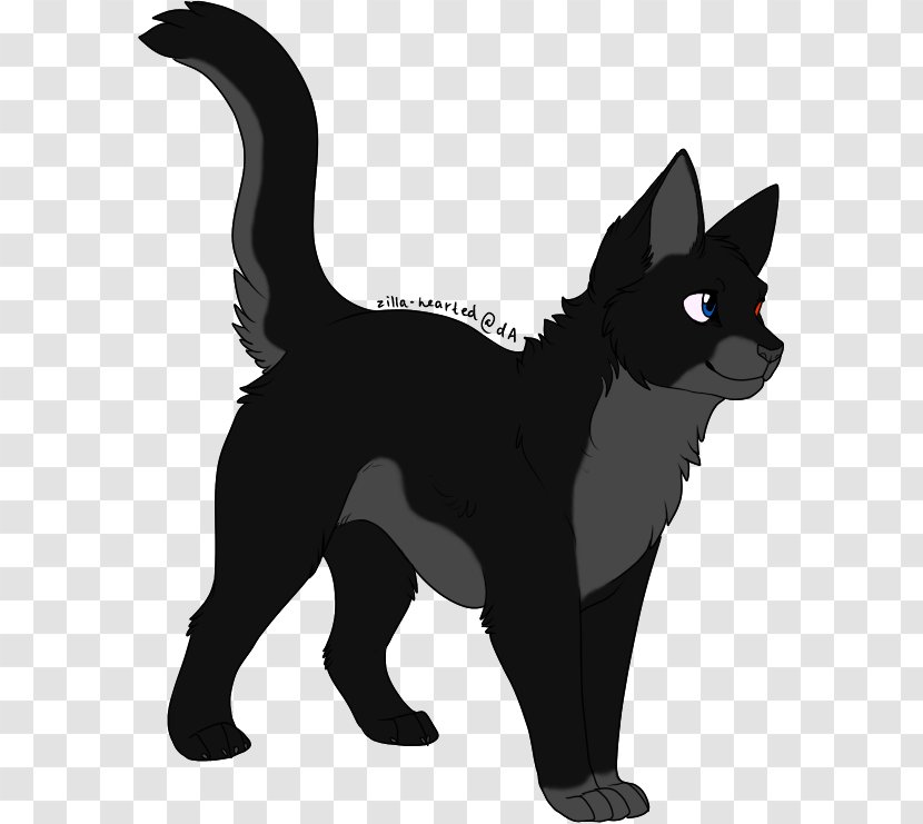 Whiskers Kitten Black Cat Domestic Short-haired - Carnivoran Transparent PNG