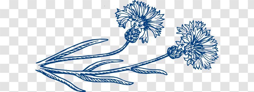 Cornflower Clip Art - Line - Royaltyfree Transparent PNG