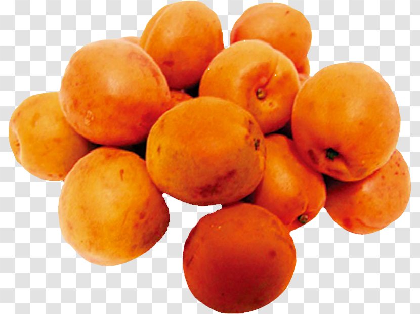 Apricot Fruit Food Vegetarian Cuisine - Gratis Transparent PNG